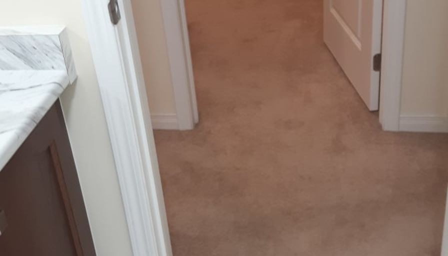 Shaheen's room