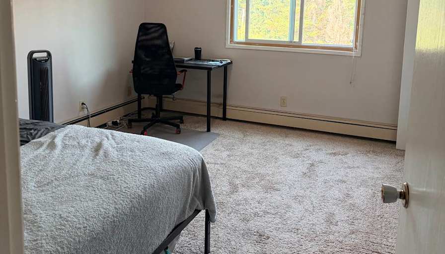 Saleh's room