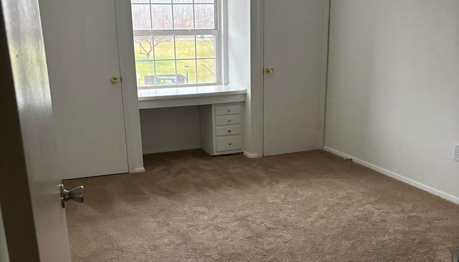 Anu T's room