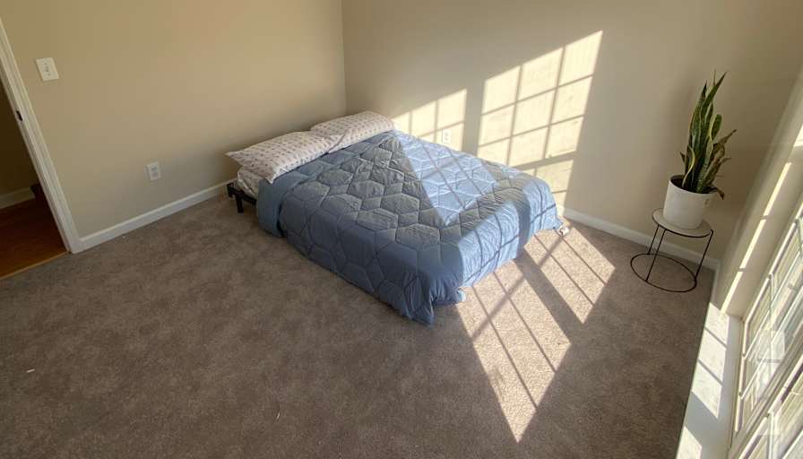 Djermagne's room