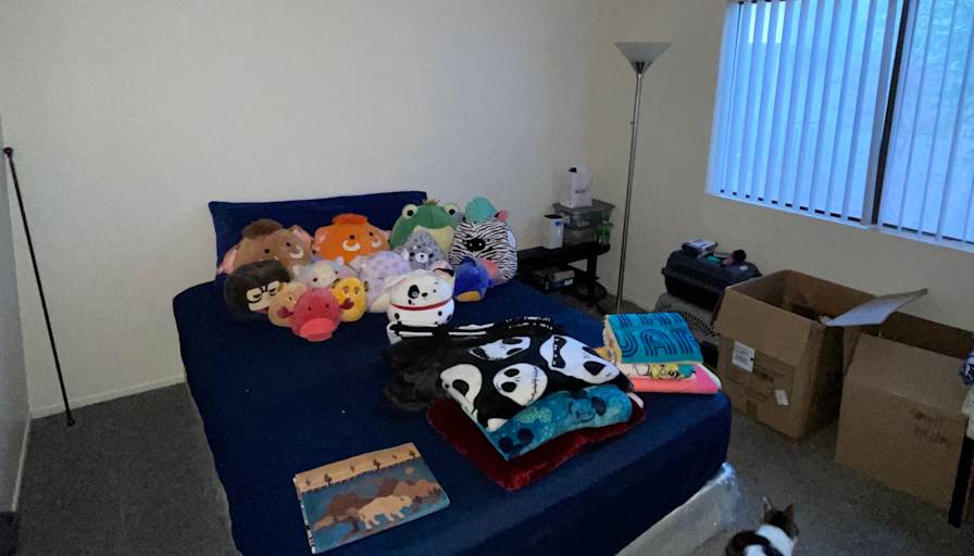 Isaac's room