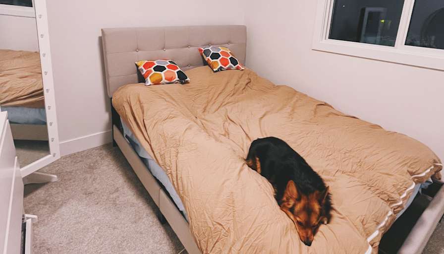 Deeya's room