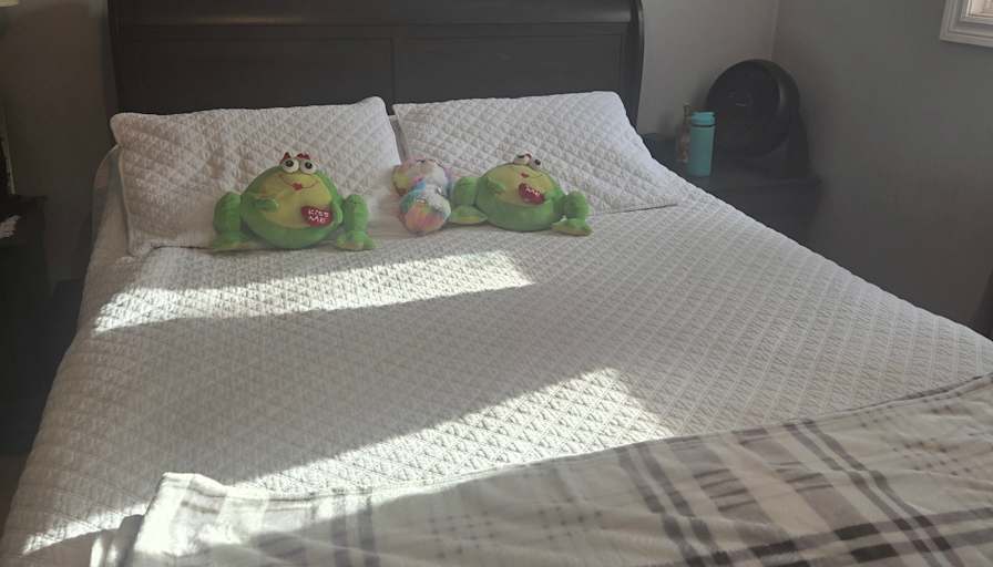 Shelley's room