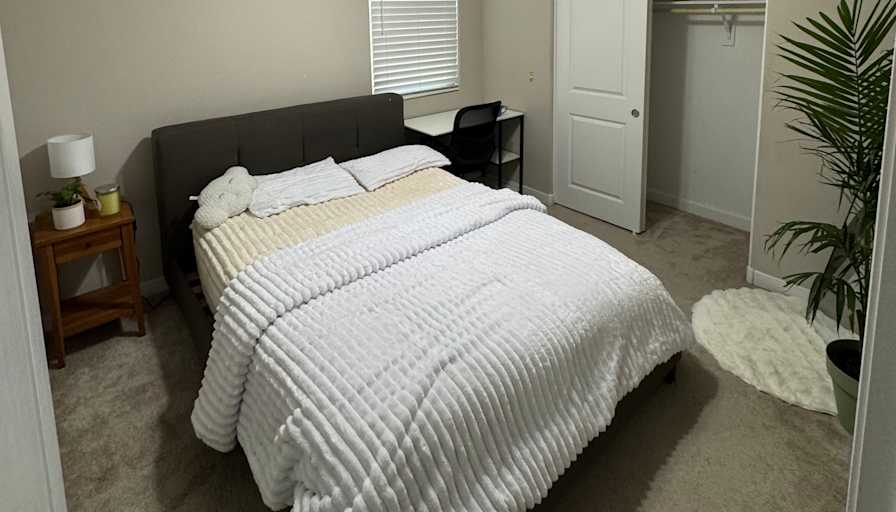Sajjan's room