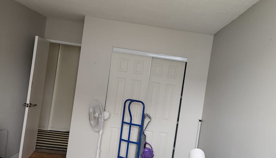 Cameron's room