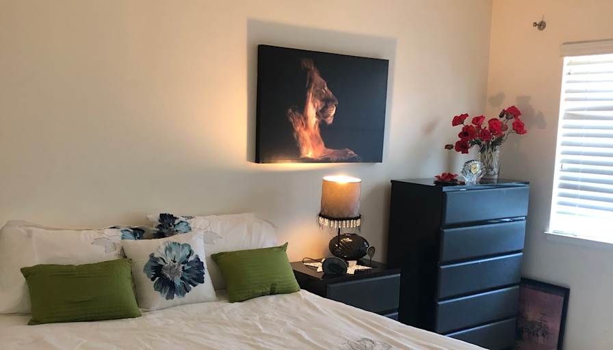 Mandana's room