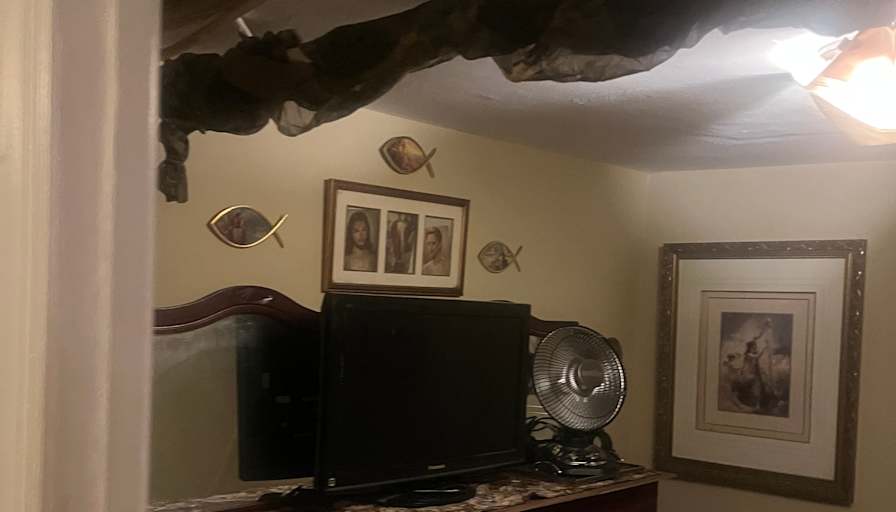 Timothy's room