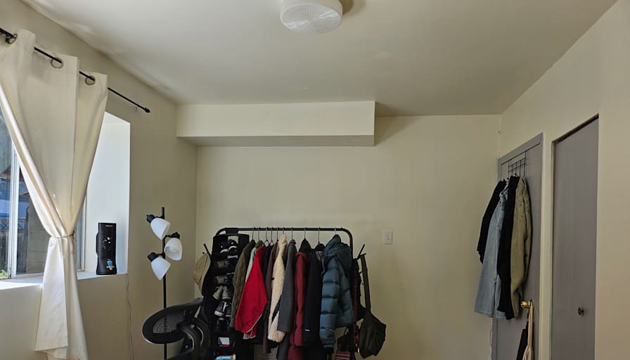 Negin's room