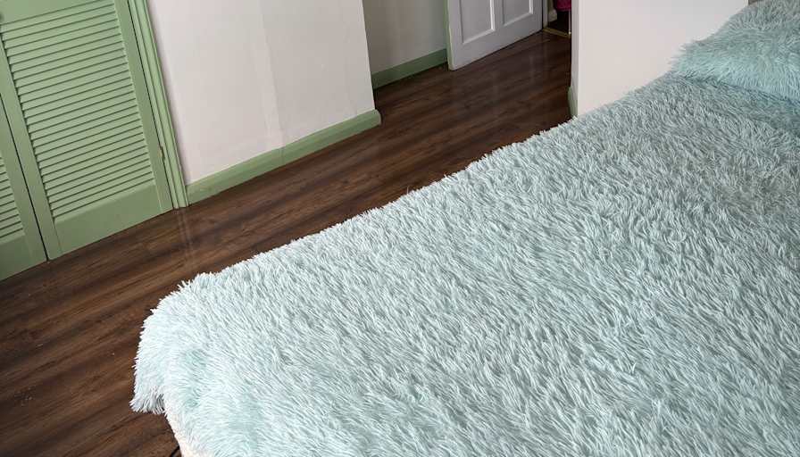Susan Curtis's room