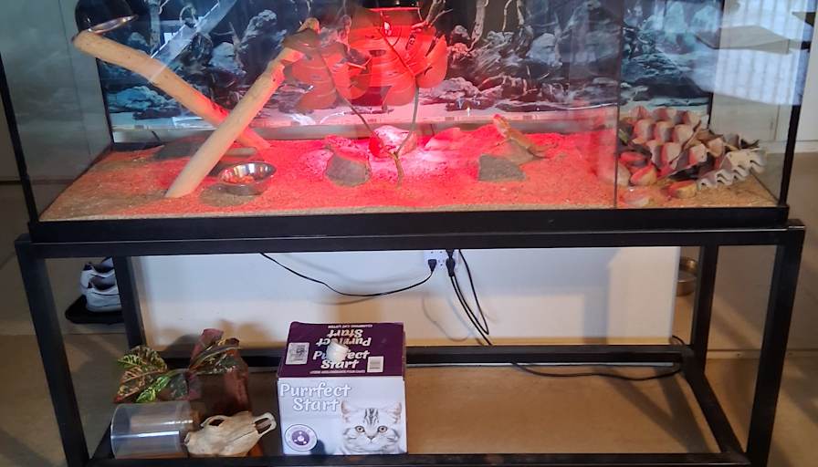 Rob's room