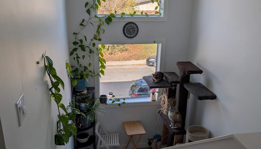 Fllow's room