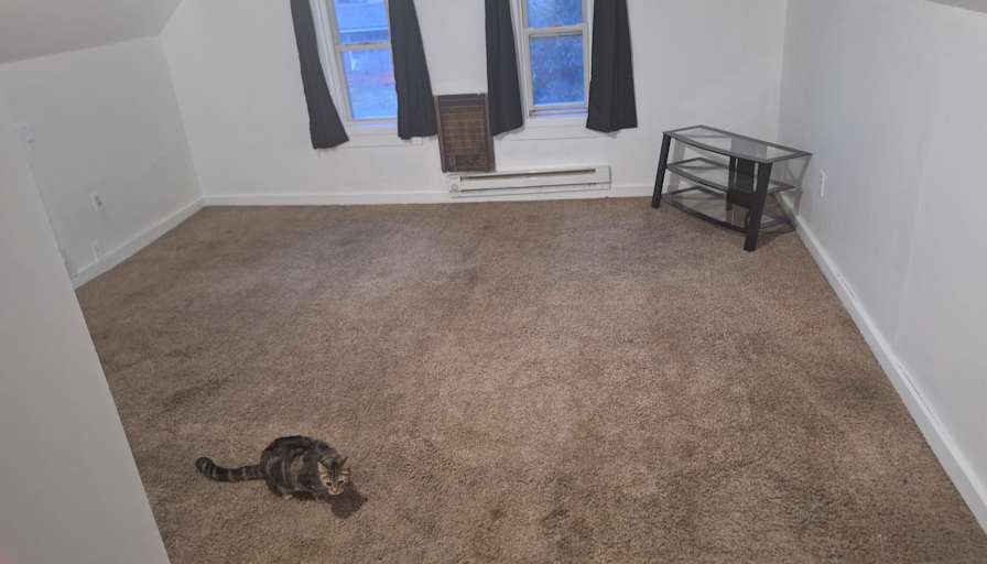 Zach's room