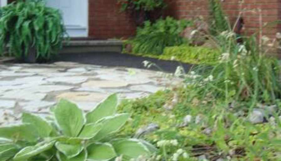 Paul or Xander's room