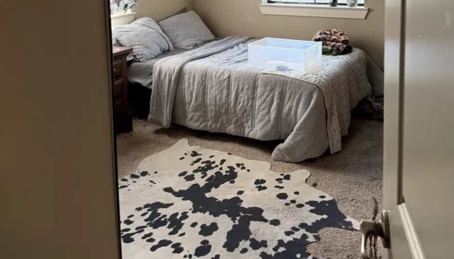 Goldie's room