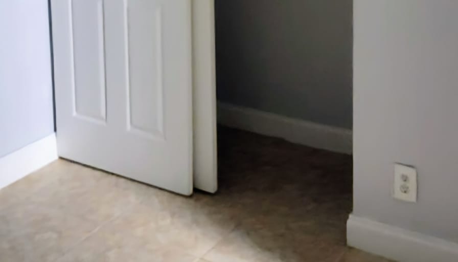 PEDRO's room