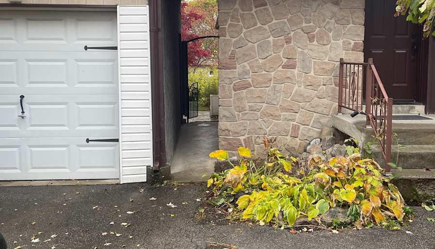 Shawn Mashouf's room