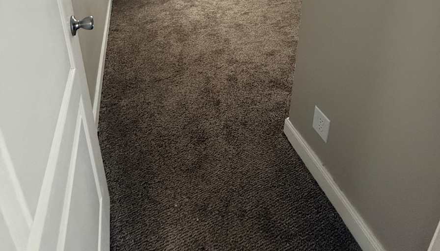 Paige's room