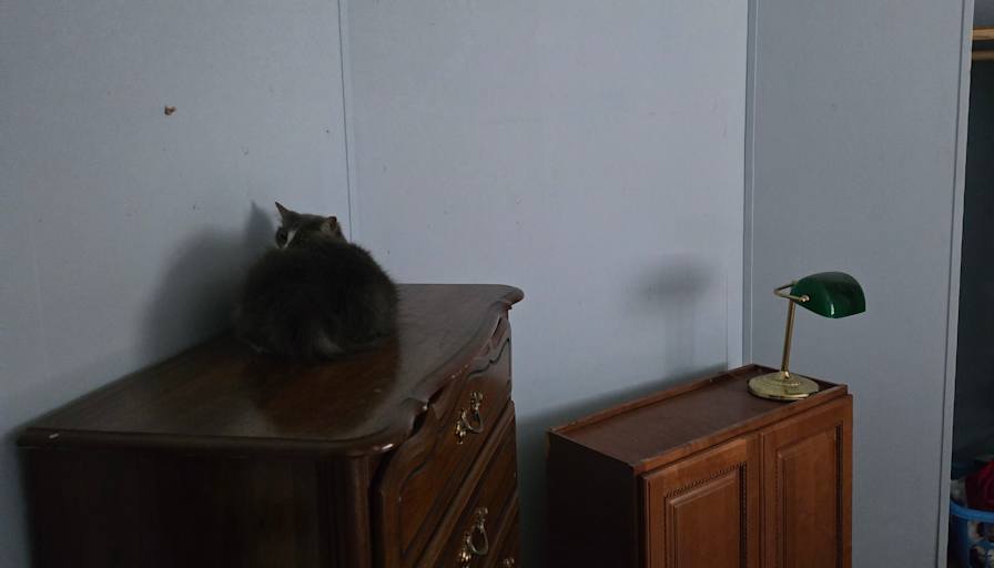 Michael's room