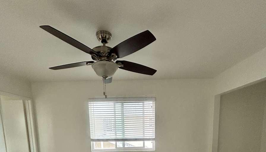 Vanessa's room