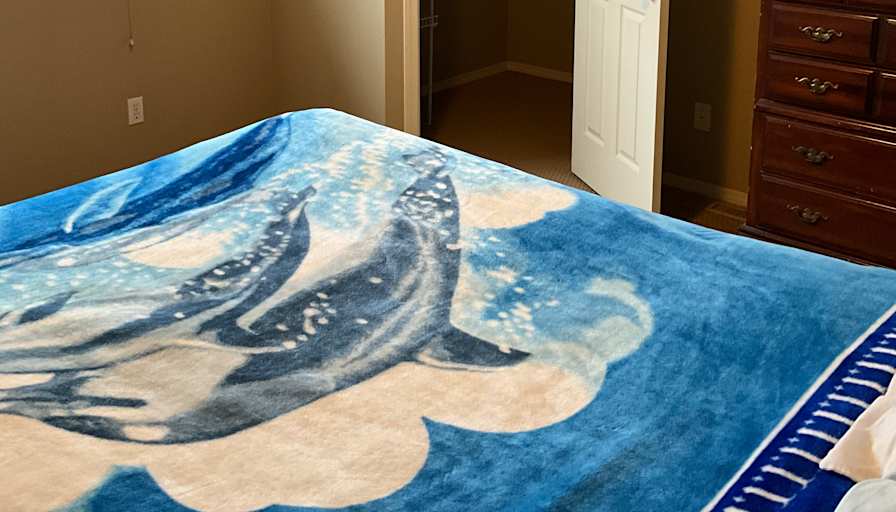 Gord's room