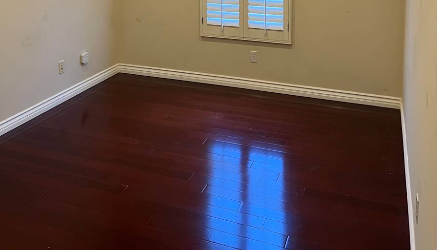 TJ S's room