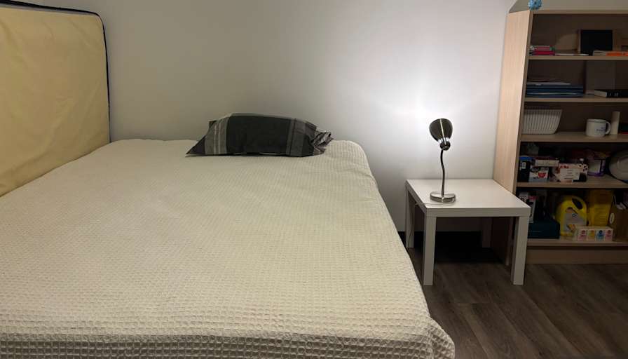 Tabby's room