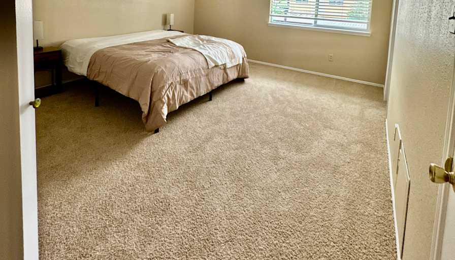 Jenine's room
