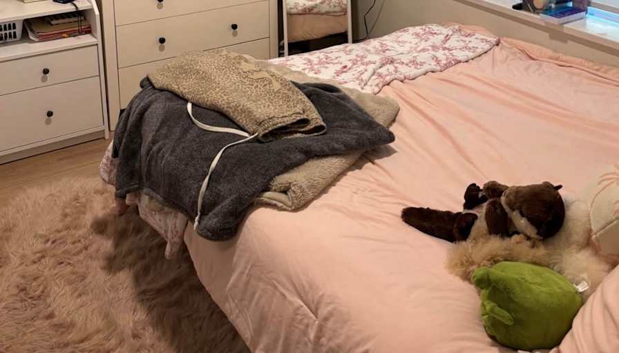 Paulina's room