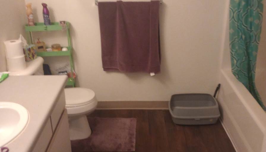 Matt's room