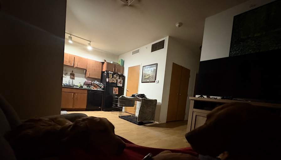 Nicholas Smith's room