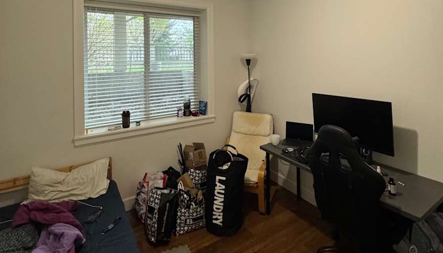 Saar's room