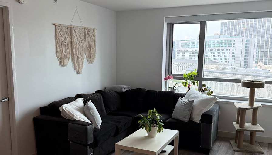 Jennci's room
