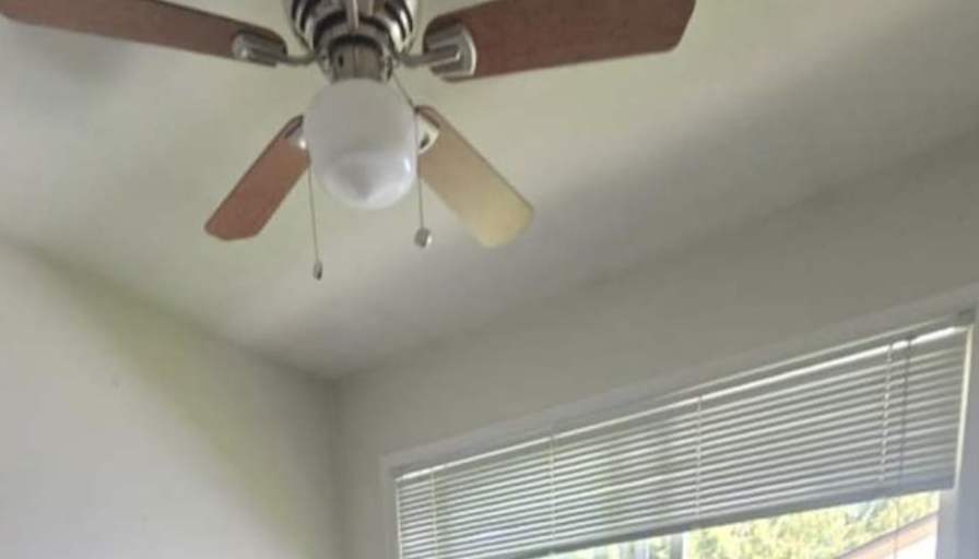 Nikita's room