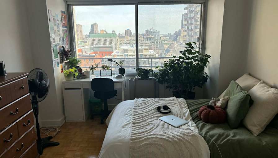 Ozgun Varol's room