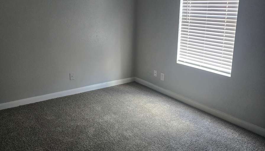Stephanie's room