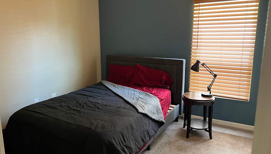Ahmed's room