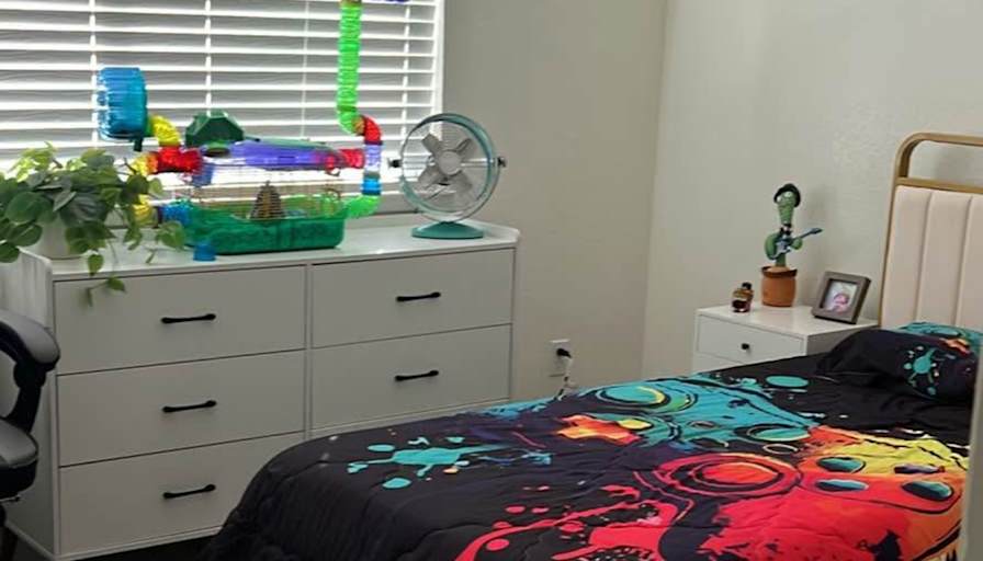 Erika's room