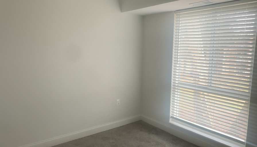 Renata's room
