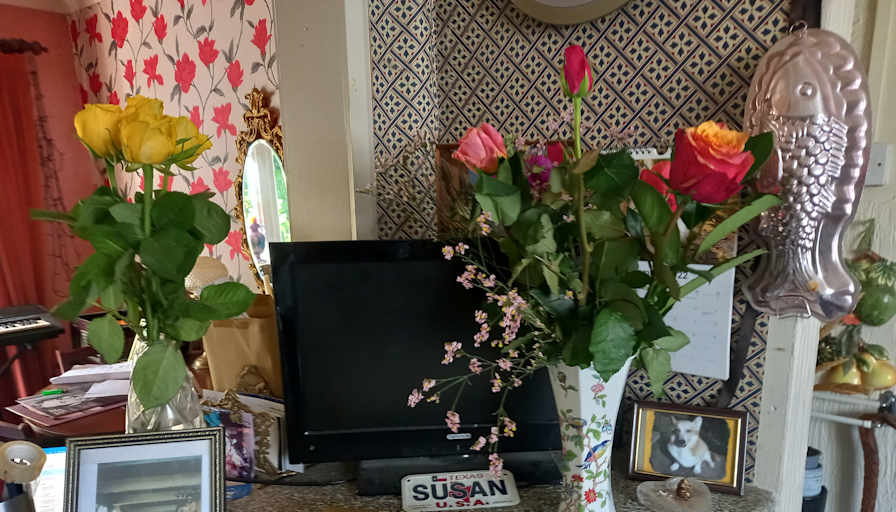 Susan Lesley Fuller's room