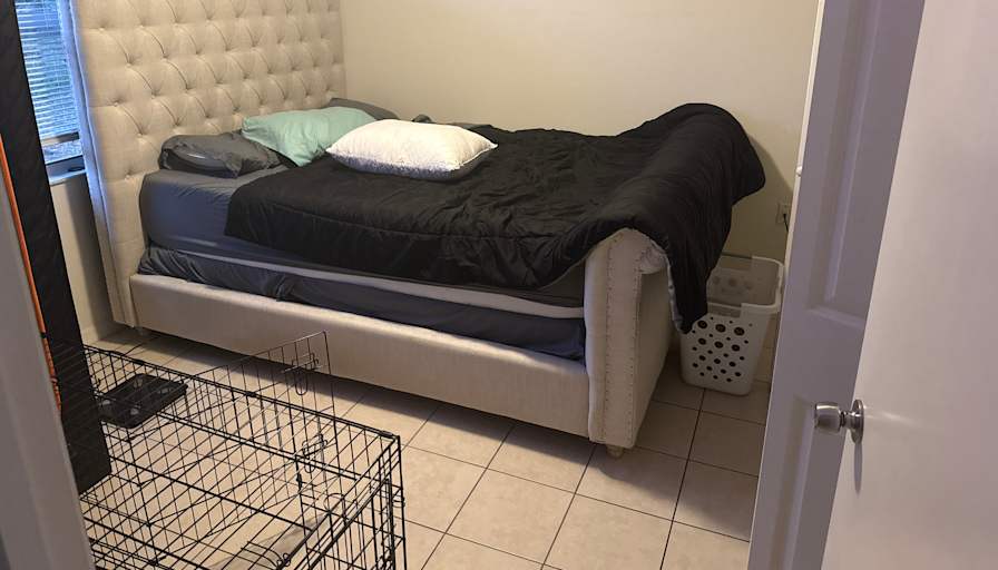 Sean's room