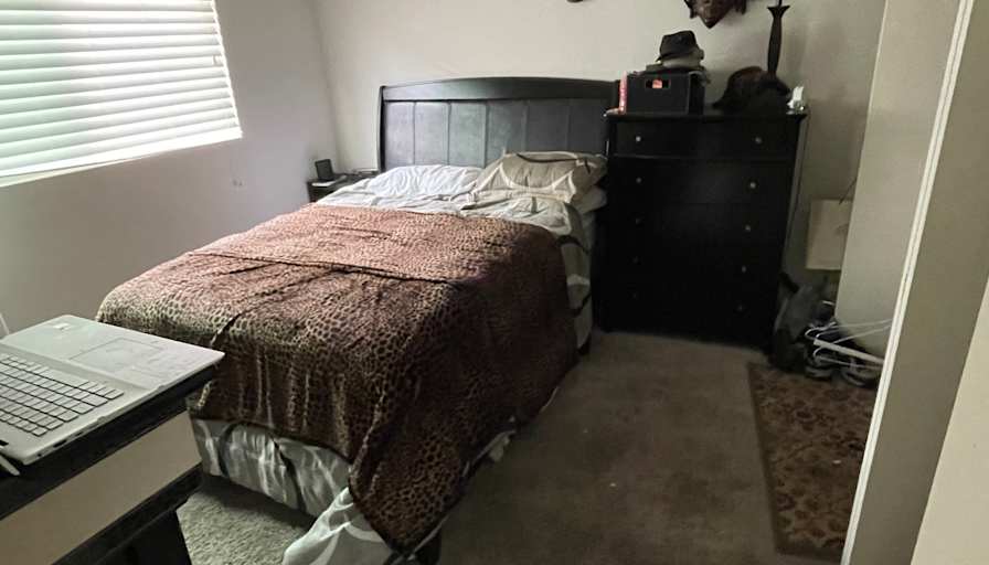 Jon R Simon's room