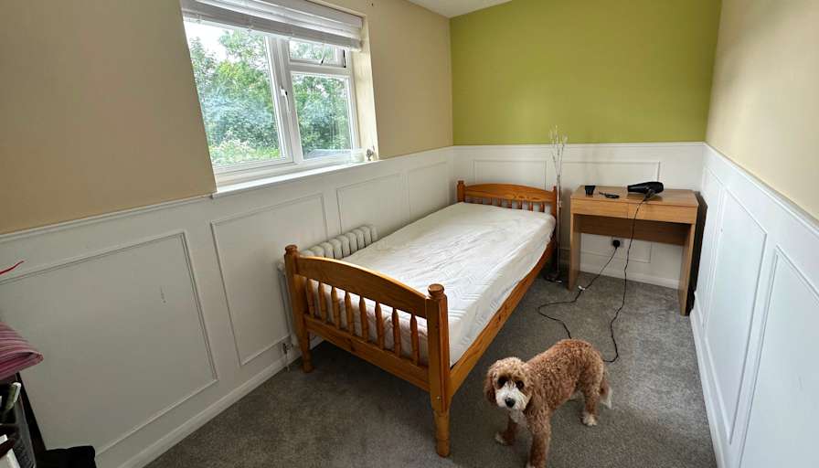 Paru's room