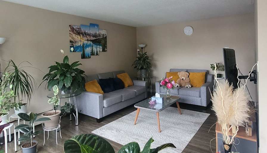 Sahra Hakkakpour's room