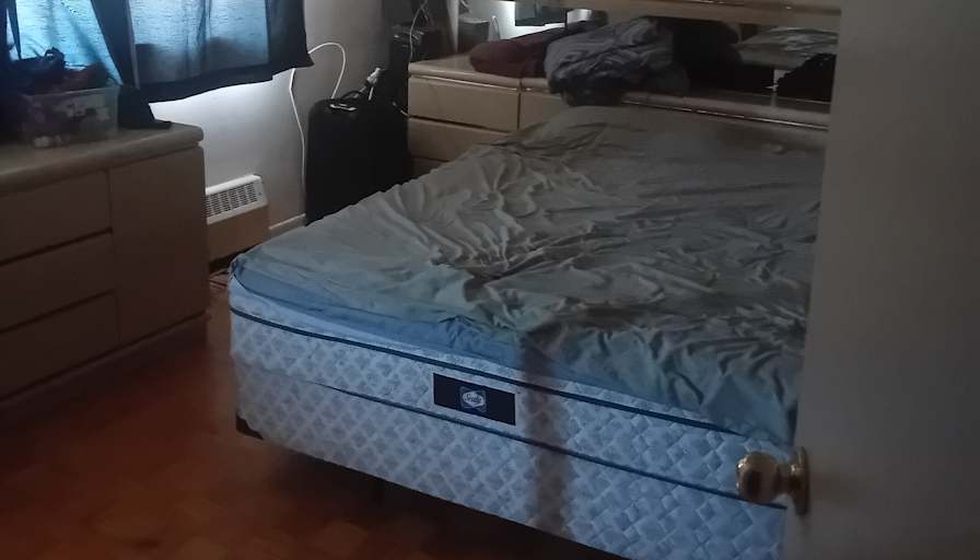 Lily's room