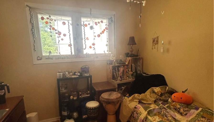 Dani's room
