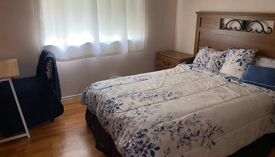 Andrea's room