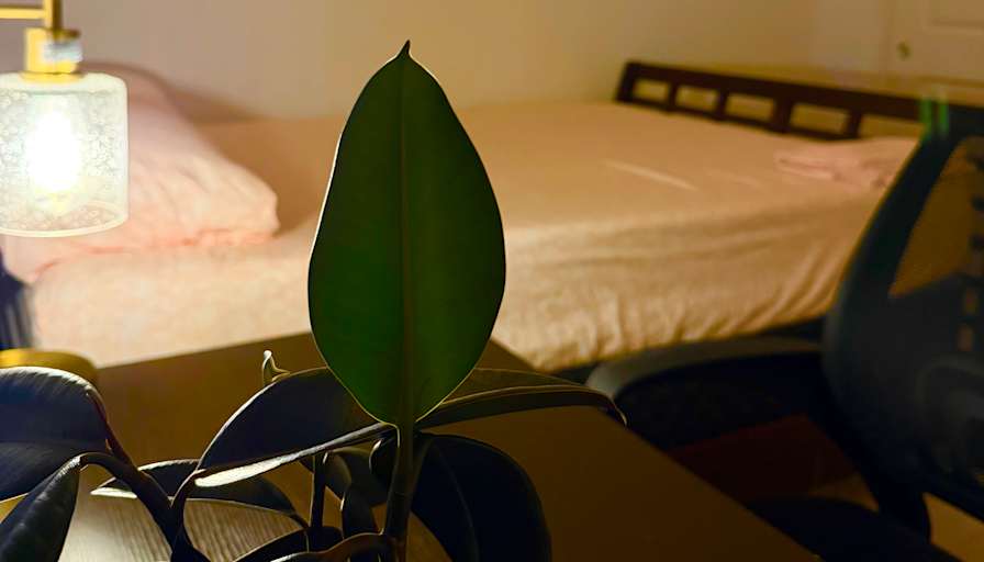 Siva's room