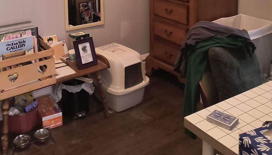 Caitlin E Ferris's room