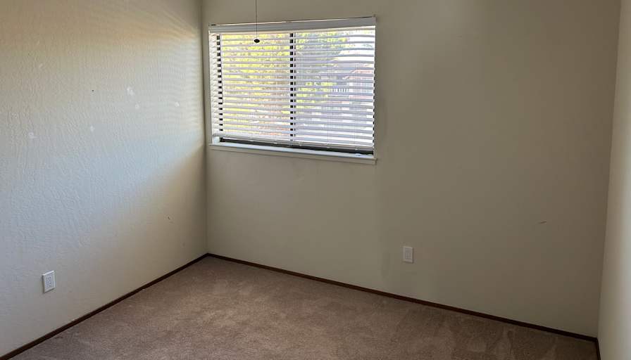 Vero's room