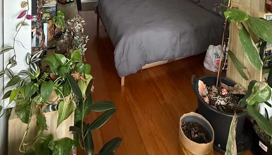 Claire's room